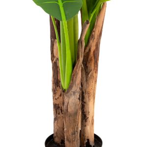 Artificial plant in pot Hm7977 banana tree 150hcm