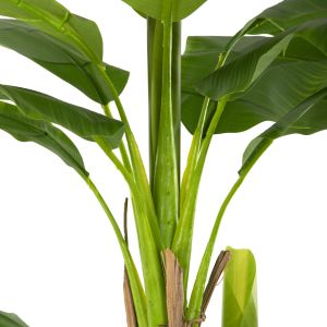 Artificial plant in pot Hm7978 banana tree 200hcm