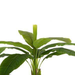 Artificial plant in pot Hm7978 banana tree 200hcm