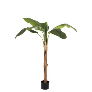 Artificial plant in pot Hm7978 banana tree 200hcm