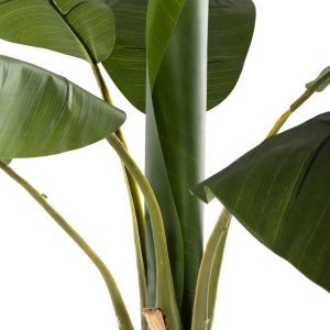 Artificial plant in pot Hm7979 banana tree 180hcm