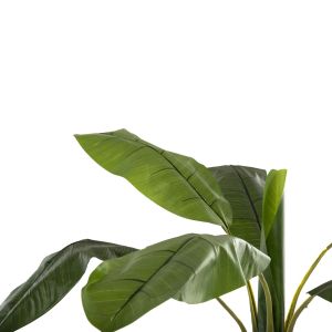 Artificial plant in pot Hm7979 banana tree 180hcm