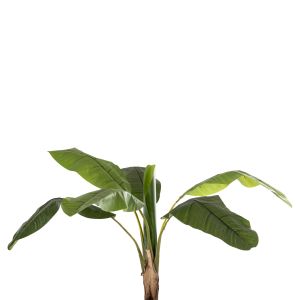 Artificial plant in pot Hm7979 banana tree 180hcm