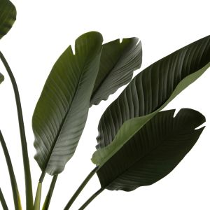 Изкуствено растение в кашпа Hm7981 стрелиция D17x14,5-137hcm