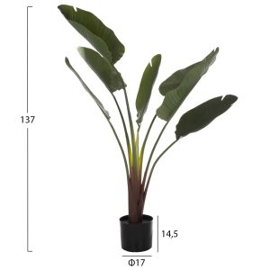 Изкуствено растение в кашпа Hm7981 стрелиция D17x14,5-137hcm