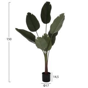 Изкуствено растение в кашпа Hm7982 стрелиция D17x14.5-150hcm