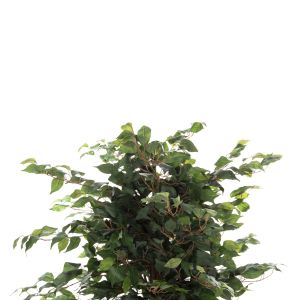 Изкуствено растение в кашпа HM7992 136hcm