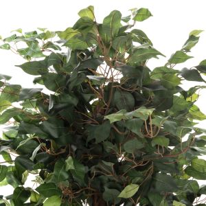 Изкуствено растение в кашпа HM7992 136hcm