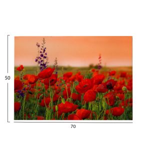 Картина Gobi Hm4760 принтирано платно 70x3 (дебелина)x50hcm.