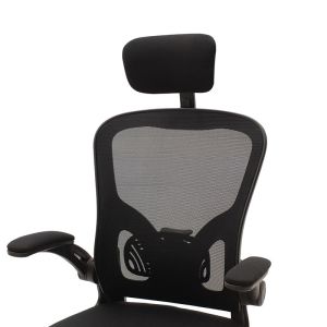 Ergoline executive chair, mesh fabric, black color