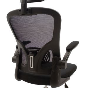 Ergoline executive chair, mesh fabric, black color