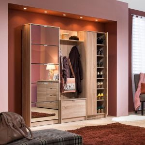 Mirrored shoe cabinet 5 drawers - 30 pairs