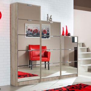 Hugo 23 Sonoma mirrored shoe cabinet with mirror, 67x28x119cm