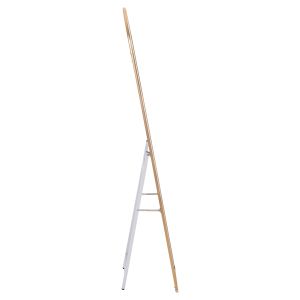 Joely Lorens floor mirror Hm9578.30 with aluminum gold frame 40x31x160hcm