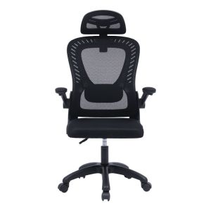Delilah office chair with mesh in black