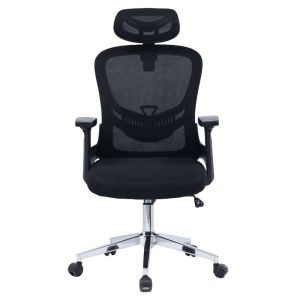 Ignatius mesh office chair in black