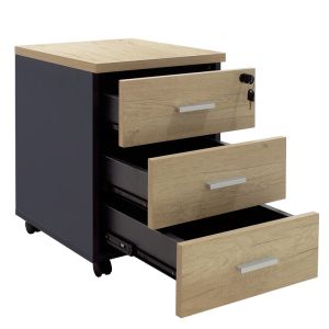 Office cabinet Lotus in oak-dark gray color 40x47x55cm