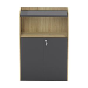 Professional low cabinet Lotus in natural anthracite color 80x40x120cm