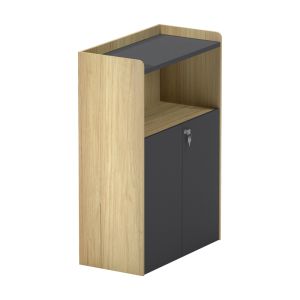 Professional low cabinet Lotus in natural anthracite color 80x40x120cm