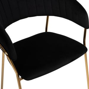 Theodore Belle black plush chair