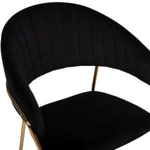 Theodore Belle black plush chair