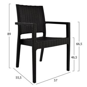 Polypropylene chair dark brown Hm5134.09