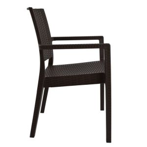Polypropylene chair dark brown Hm5134.09