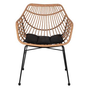 Chair with armrests metal and rattan Hm5864,01 58,5x60,5x80cm
