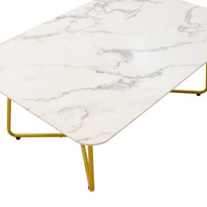 Coffee table Paris white glass top 8mm 120x80x45cm