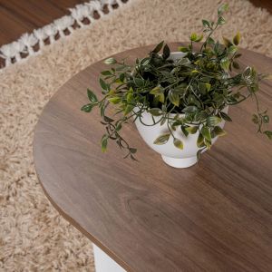 Coffee table Tabletod in walnut-white color 119x60x40cm