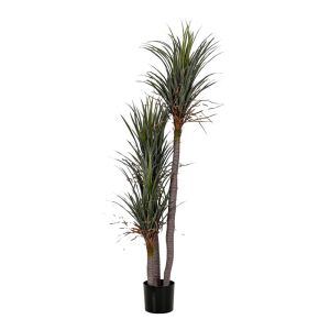 Ornamental plant dracaena in a pot FL0572 green-beige color 180 cm