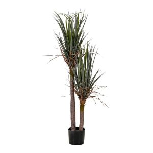 Ornamental plant dracaena in a pot FL05751 green-beige color 150 cm