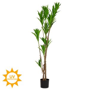 Dracaena 166 cm with UV and fire protection