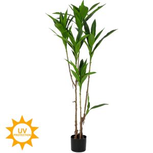 Cordyline 140 cm with UV and fire protection