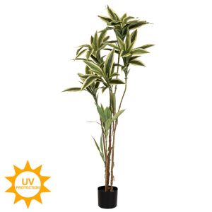 Cordyline 170 cm with UV and fire protection
