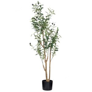 Маслиново дърво в пластмасова саксия 120 см 15X14 см