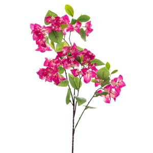 Bougainvillea stem X4 97 cm with UV protection