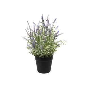 Lavender in plastic pot - Φ30X48CM 12/BOX
