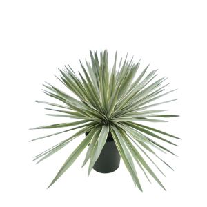 Mini sisal green in a pot - Φ68X58CM 4/BOX