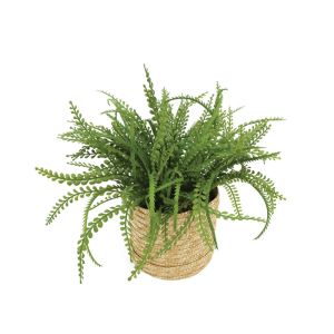 Feathers (pampas) in a woven basket beige-green Φ45X30CM 6/BOX