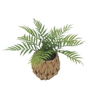 Feathers (pampas) in a woven plastic basket brown-green - H30CM 6/48BOXES