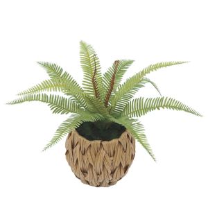 Feathers (pampas) in a woven plastic basket brown-green - H30CM 6/48BOXES