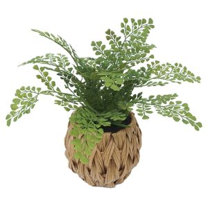 Feathers (pampas) in a woven plastic basket brown-green - Φ32X30CM 6/48BOXES