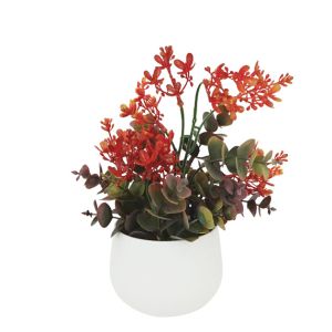 Plastic pot with eucalyptus/margarita plant orange - Φ10X27CM 48/BOX