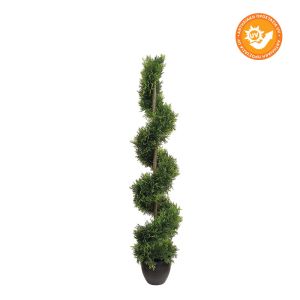 Туя спирала с Uv защита - H120CM 2/BOX