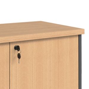Нисък офис шкаф Fesialo в цвят естествен антрацит 80x41x80см